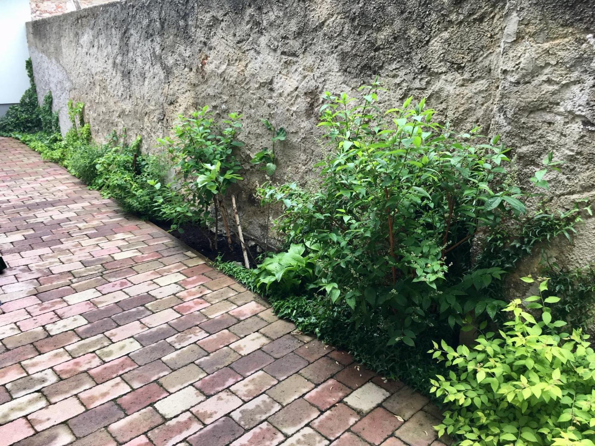 Apartmány U Vavřince Sušice Kültér fotó